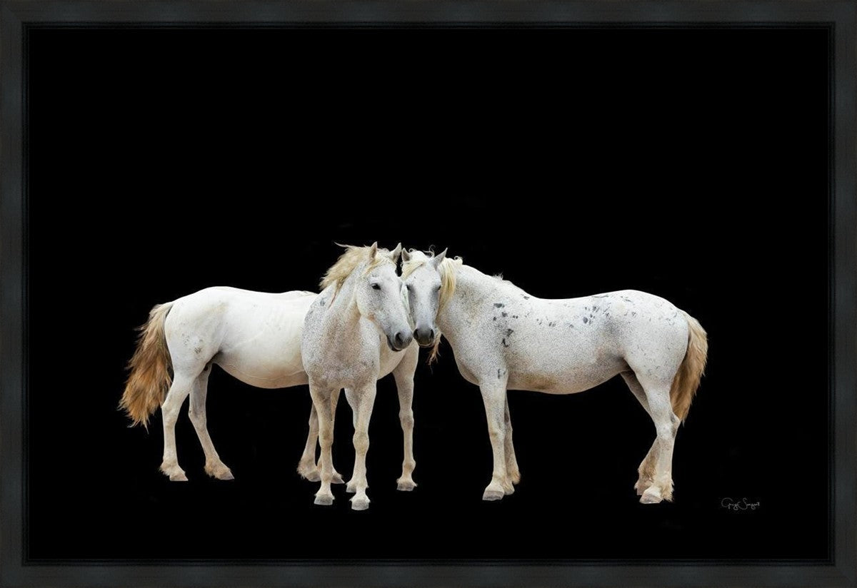 Three White Horses