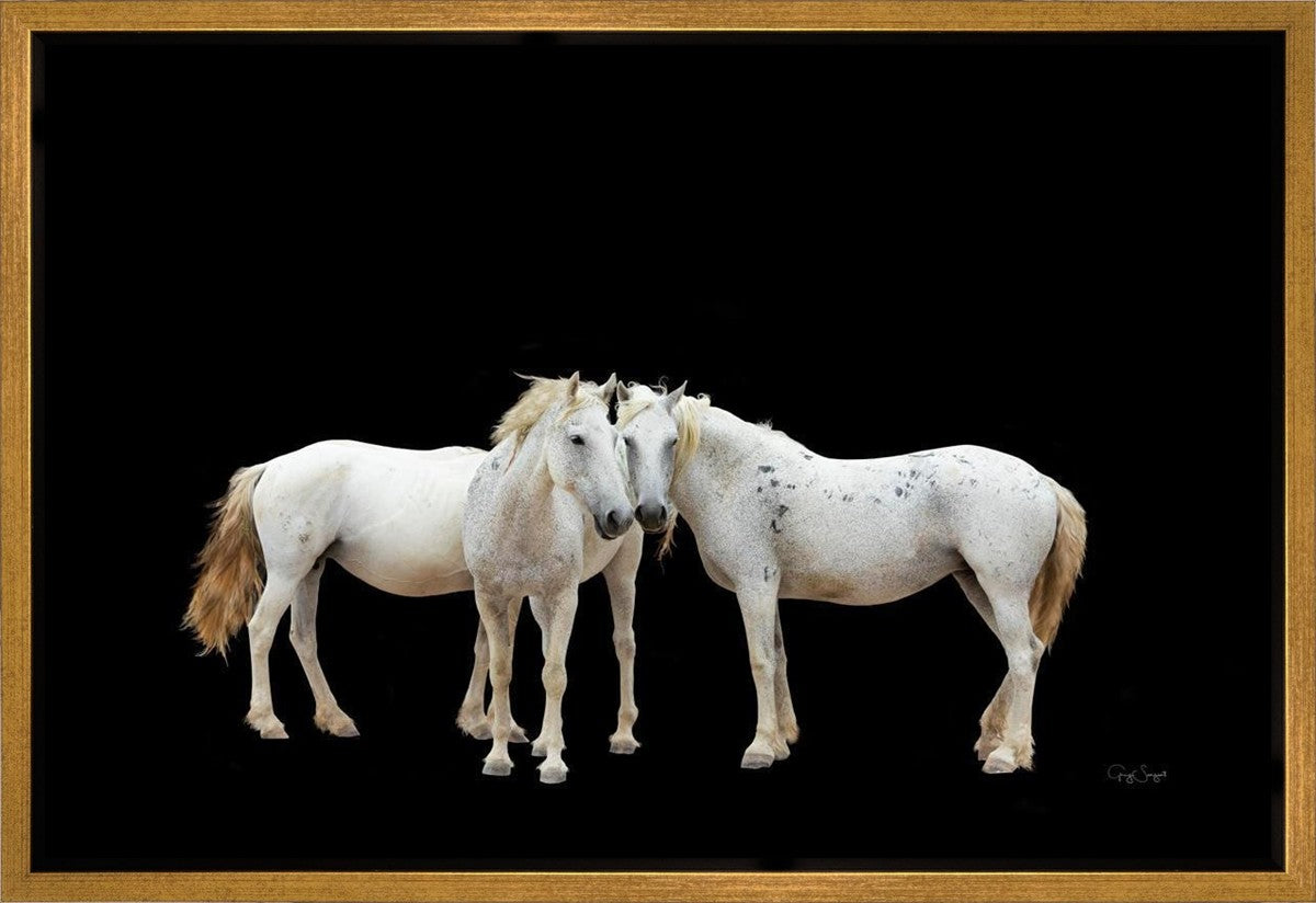 Three White Horses