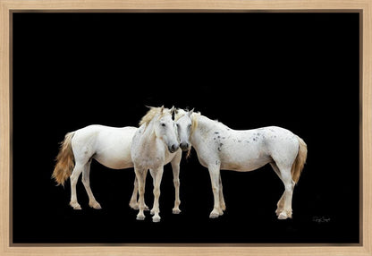 Three White Horses