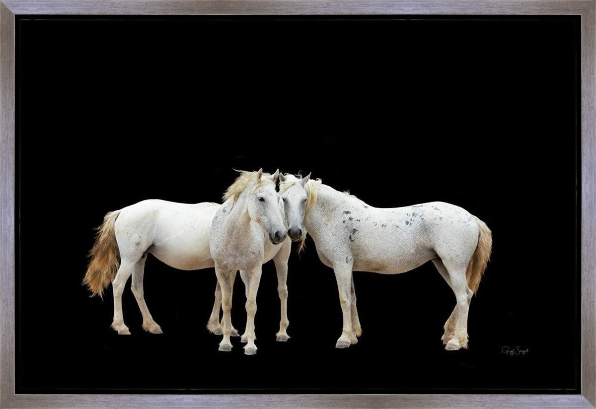 Three White Horses