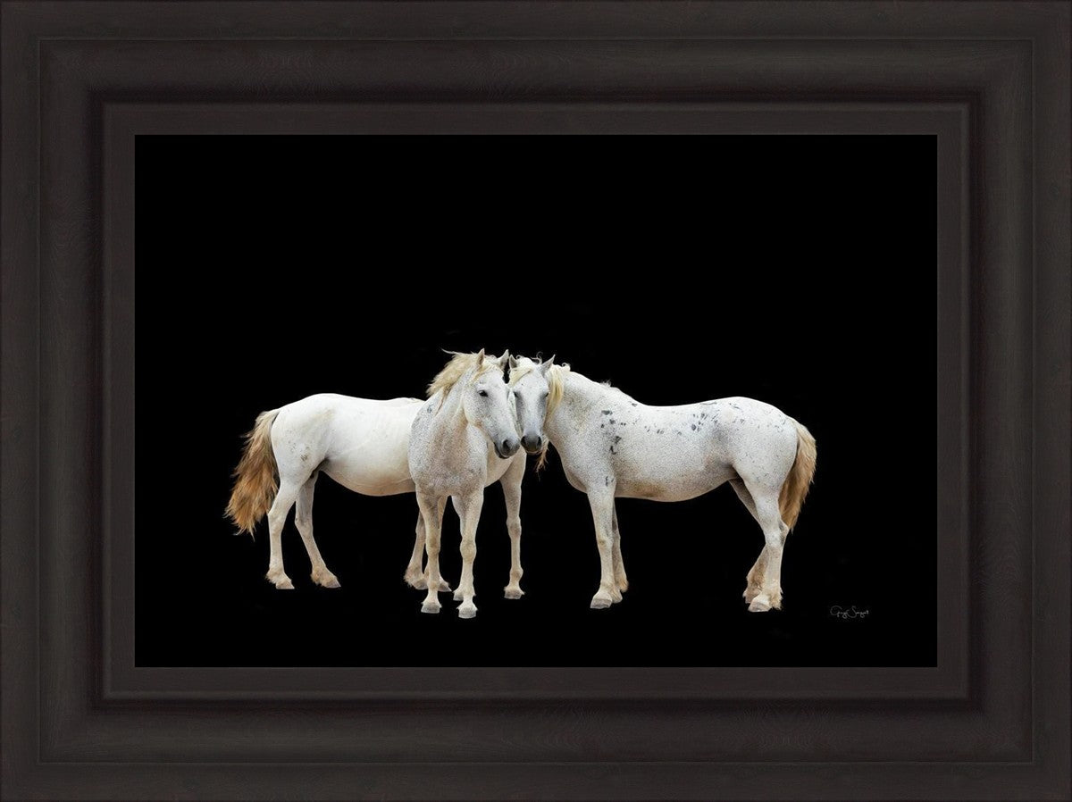 Three White Horses