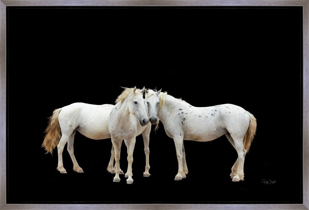 Three White Horses