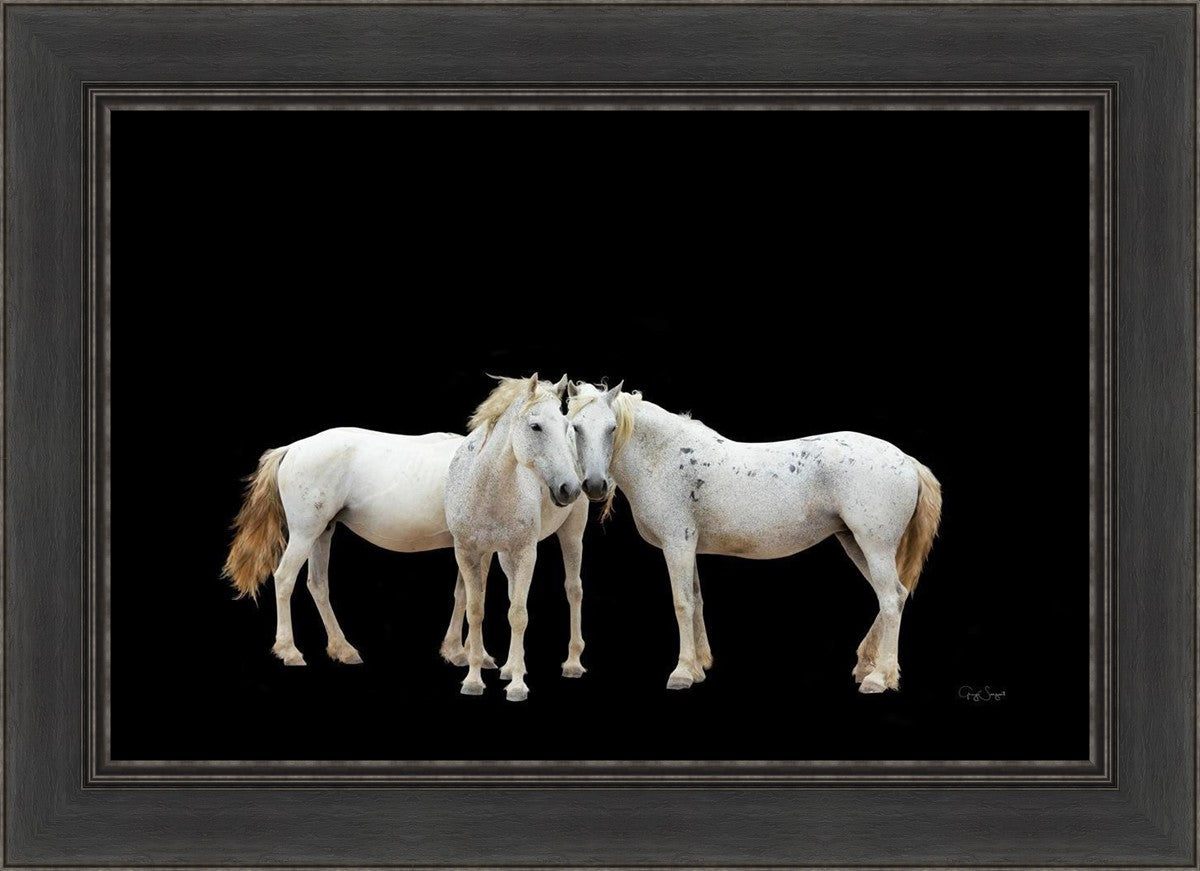 Three White Horses