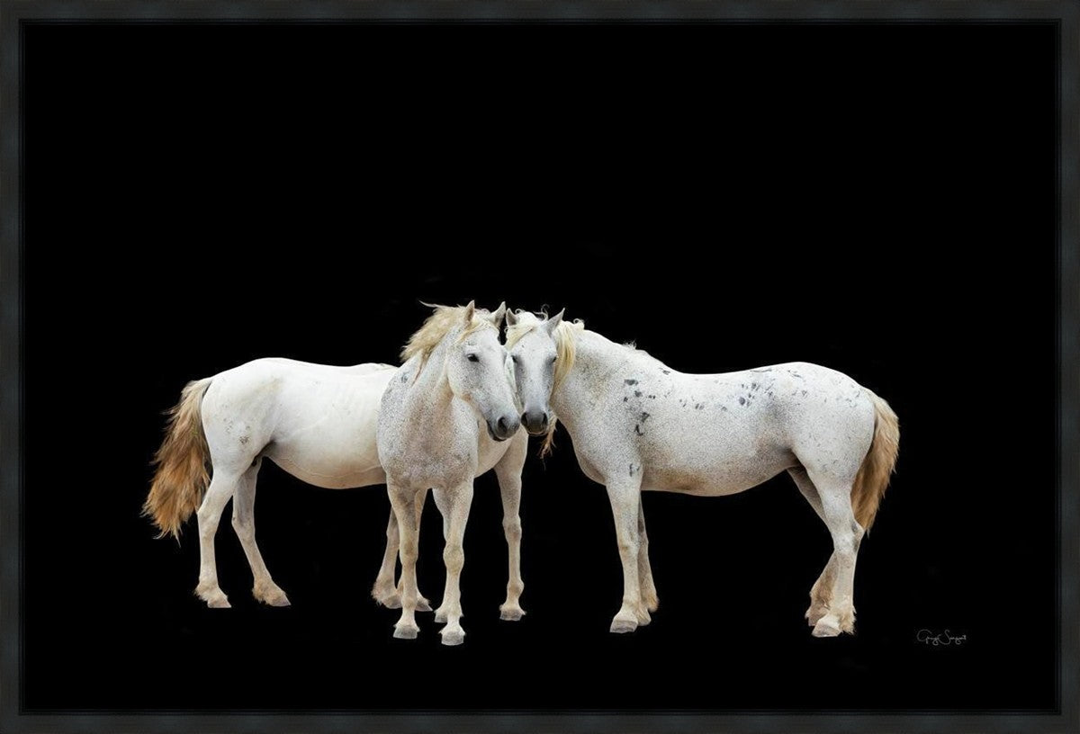 Three White Horses