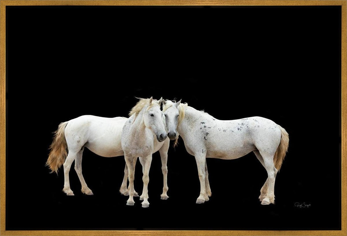 Three White Horses