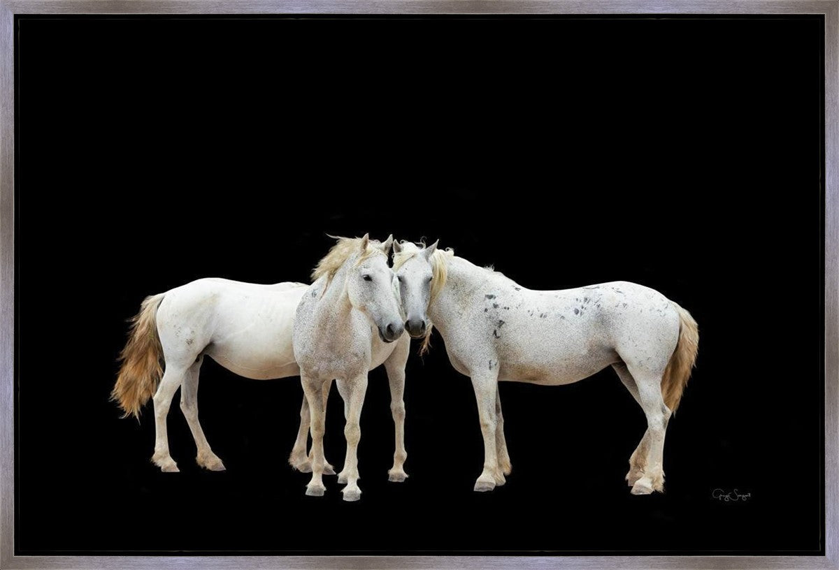 Three White Horses