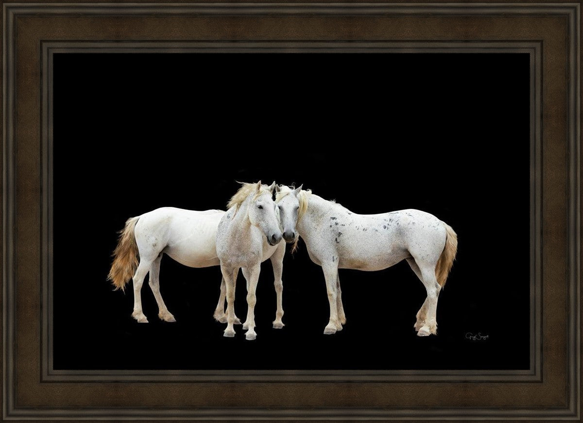 Three White Horses