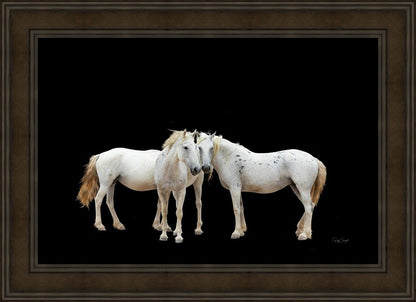 Three White Horses