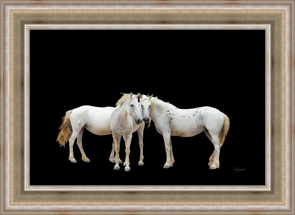 Three White Horses