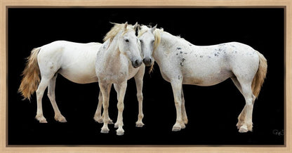 Three White Horses