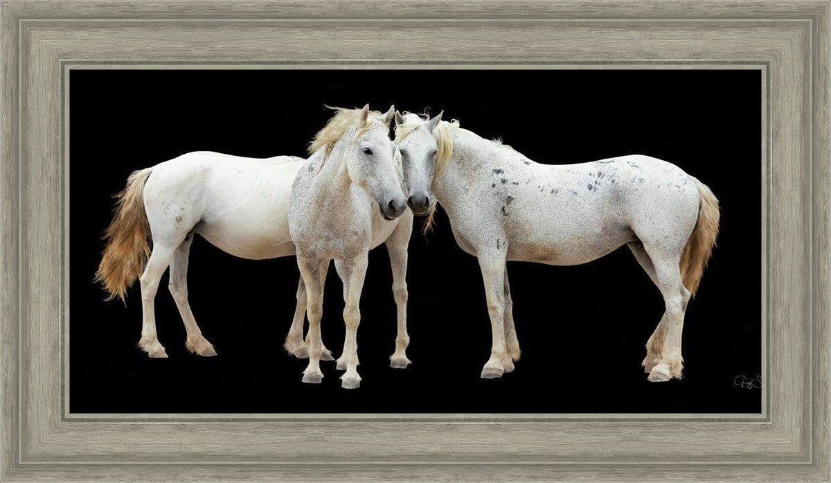 Three White Horses