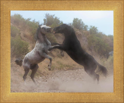 Fight In The Wash