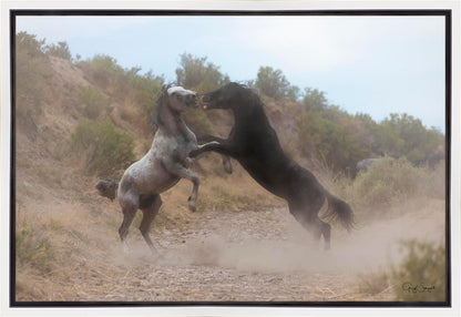Fight In The Wash