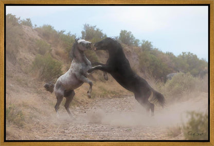 Fight In The Wash