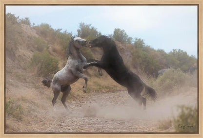 Fight In The Wash