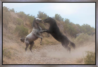Fight In The Wash