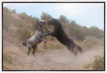 Fight In The Wash