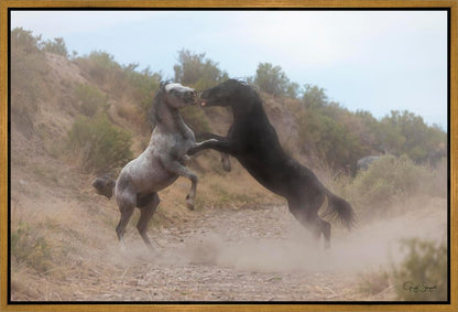 Fight In The Wash
