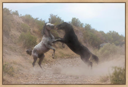 Fight In The Wash