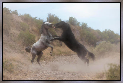 Fight In The Wash