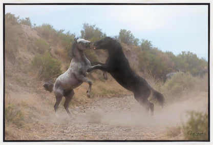 Fight In The Wash