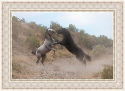 Fight In The Wash