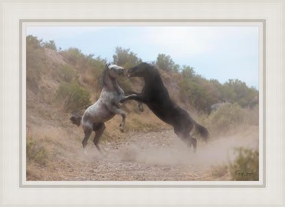 Fight In The Wash
