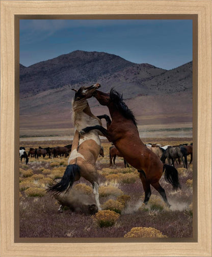 Desert Duel 1