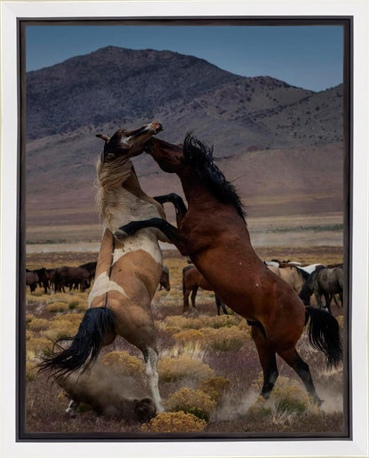 Desert Duel 1