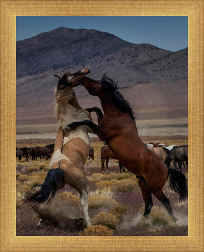 Desert Duel 1