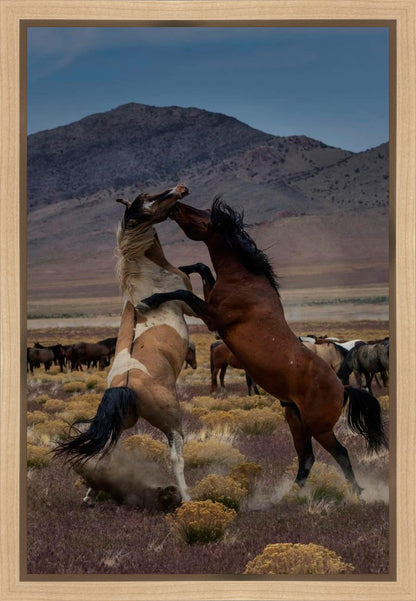 Desert Duel 1