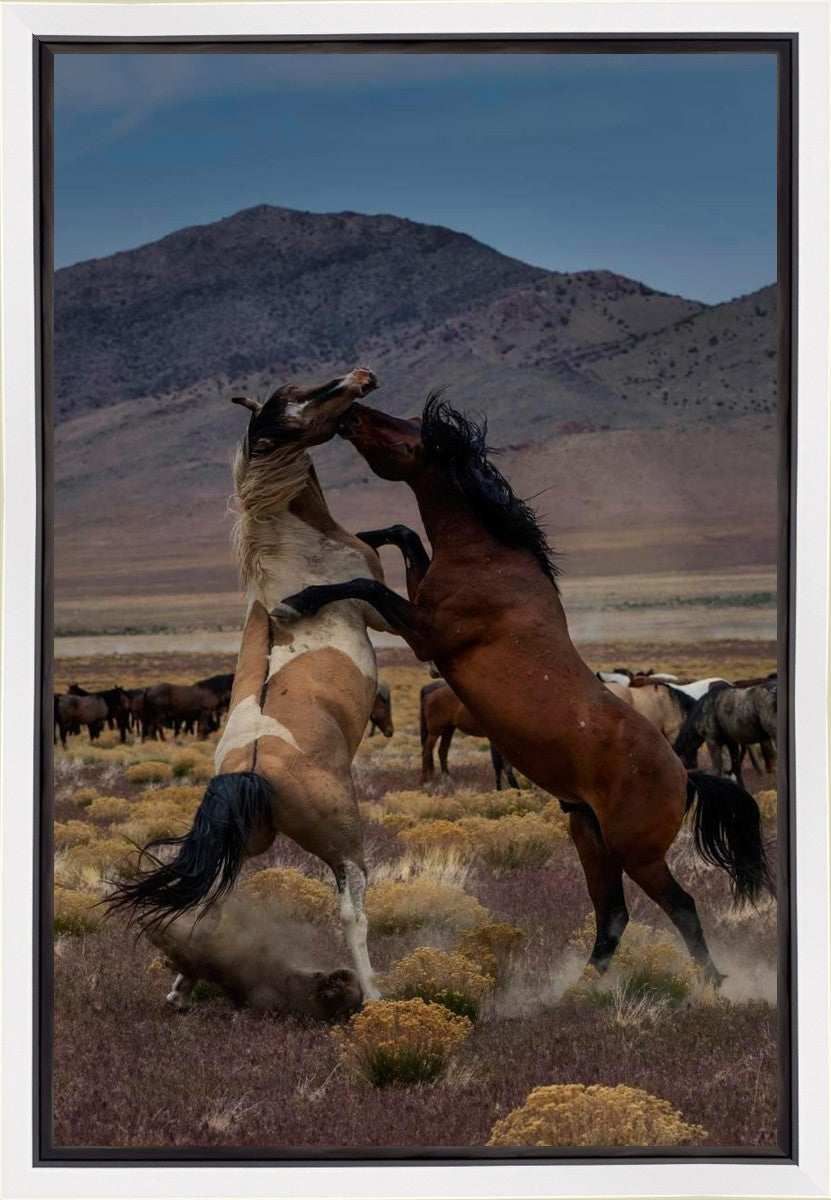 Desert Duel 1