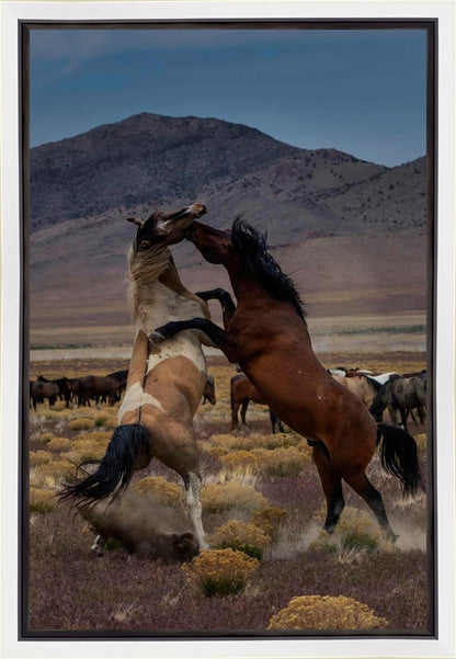 Desert Duel 1