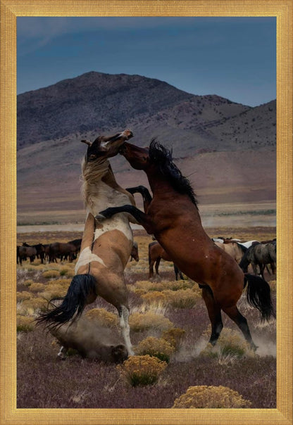 Desert Duel 1