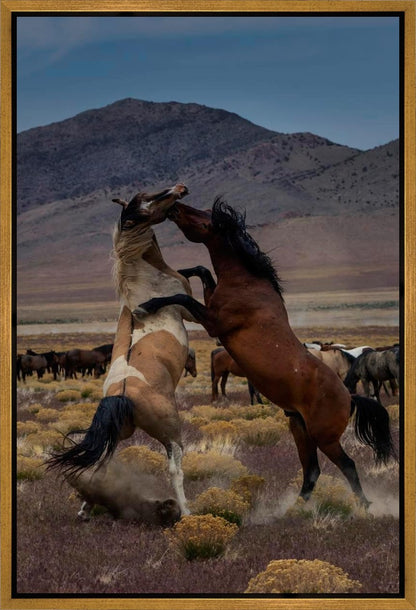 Desert Duel 1