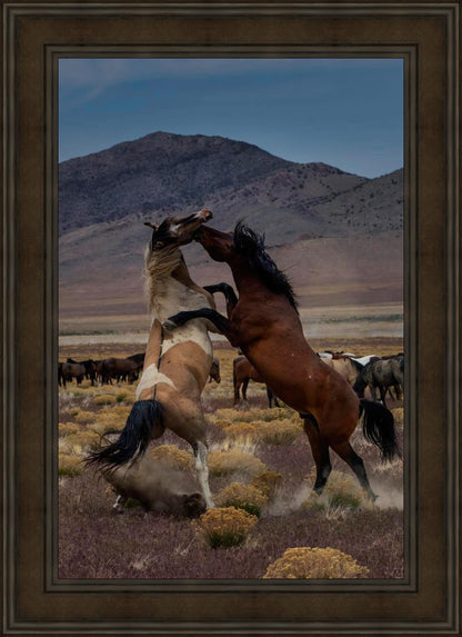 Desert Duel 1