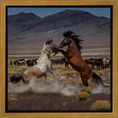 Desert Duel 5
