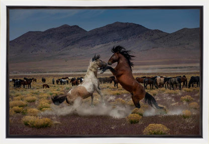 Desert Duel 5