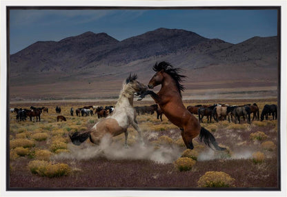 Desert Duel 5