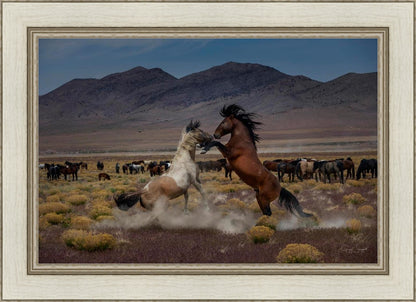 Desert Duel 5