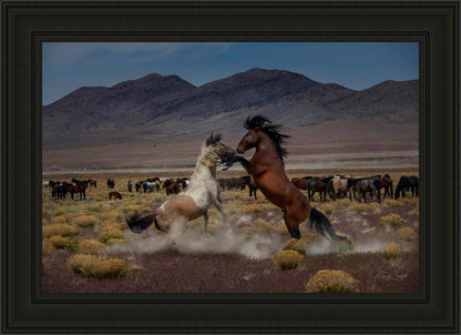 Desert Duel 5