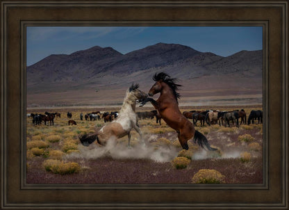 Desert Duel 5