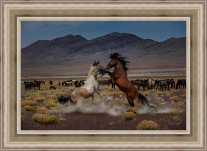 Desert Duel 5