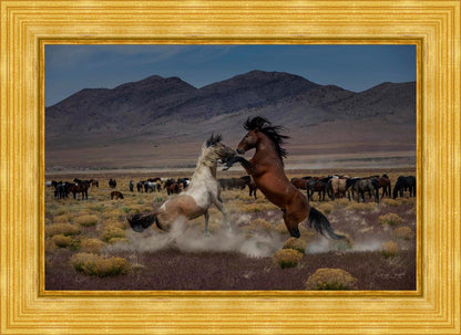 Desert Duel 5