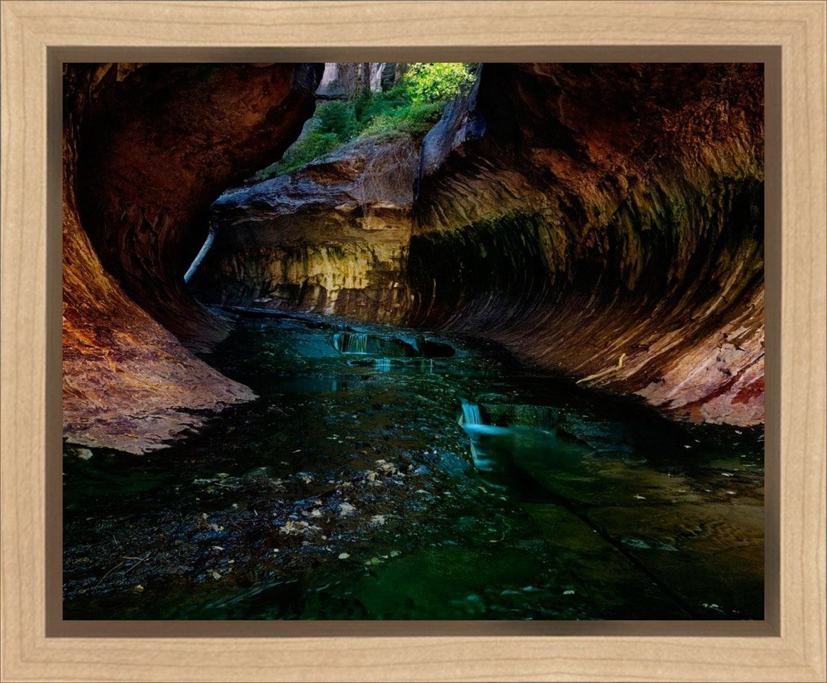 Zion's Abyss