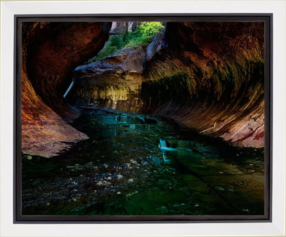 Zion's Abyss