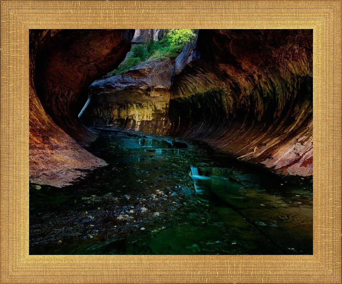 Zion's Abyss
