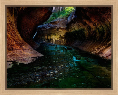Zion's Abyss