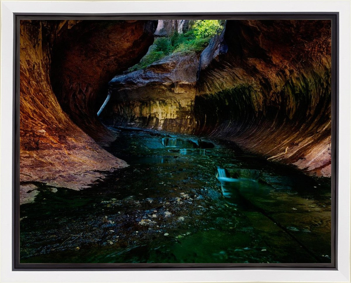 Zion's Abyss
