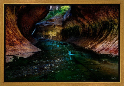 Zion's Abyss